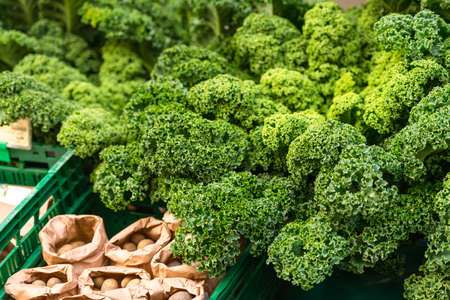 Oldenburg kaleの写真素材