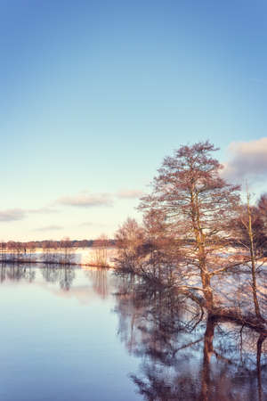 winter landscape with color lookの写真素材