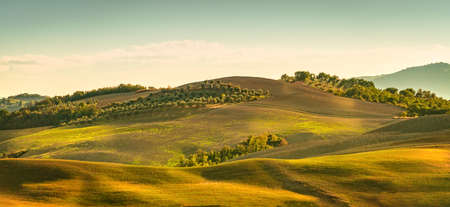 Fields in Tuscanyの写真素材