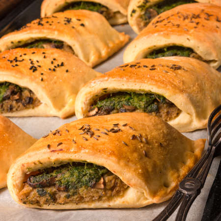 Szczecin pastries- deep-fried yeast dough stuffed with meat or vegetarian filling.の写真素材