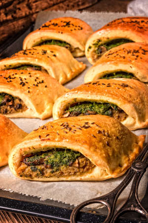 Szczecin pastries- deep-fried yeast dough stuffed with meat or vegetarian filling.の写真素材