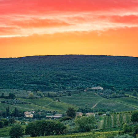 Fields in Tuscanyの写真素材