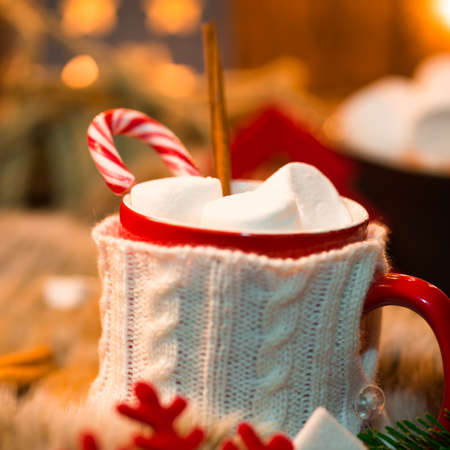 Hot chocolate with marshmallowsの写真素材