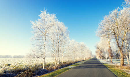 East Frisiaの写真素材