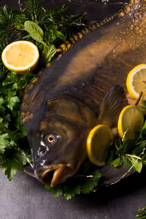 fresh carp