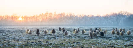 East Frisiaの写真素材