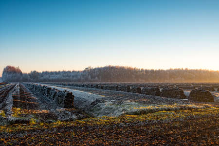 turbaryの写真素材