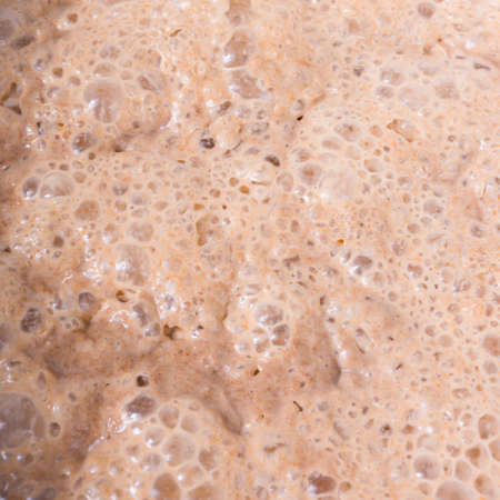 Sourdough