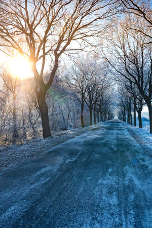 Winter in East Frisiaの写真素材