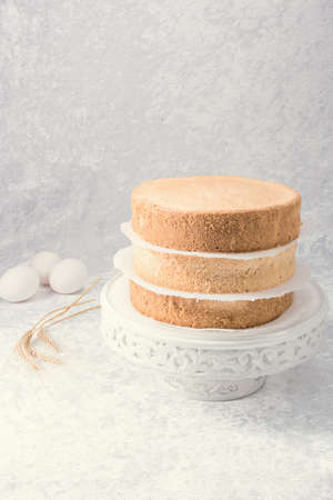 a tasty biskuit - cake layerの写真素材