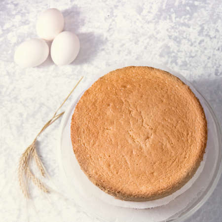 a tasty biskuit - cake layerの写真素材