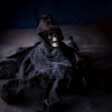 halloween skeletonの写真素材