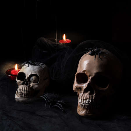 halloween skullの写真素材