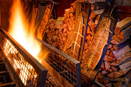 flame salmonの写真素材