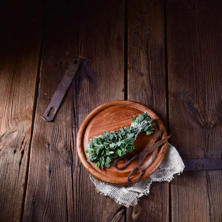 Aromatische Oregano (Origanum vulgare)の写真素材