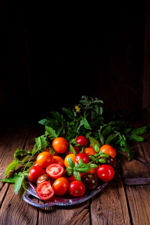 various types of tomatoes served and presented on the silver platter.の写真素材
