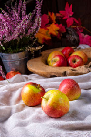 Malus sylvestris, the tasty European crab apple,の写真素材