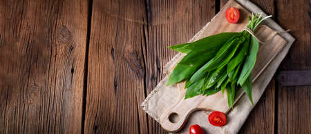 allium ursinum fresh ramson with lots of valuable vitamins