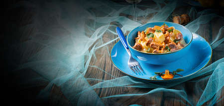 pappardelle with cheese sauce and fresh chanterellesの写真素材