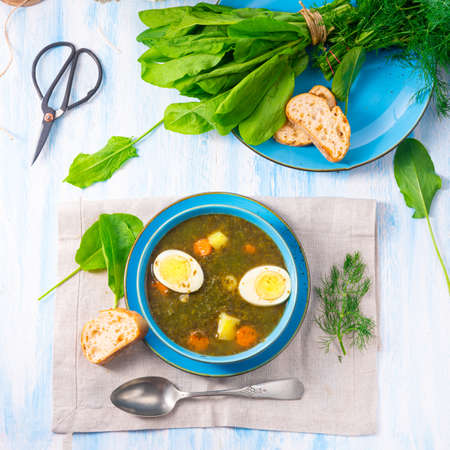 Sorrel soup with potatoes and eggの写真素材