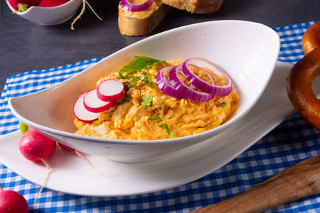 The perfect Bavarian obazda with radishes and onionsの写真素材