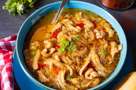 flaczki - fresh and spicy tripe soup with herbs