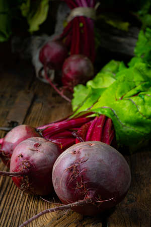 Botwina, Rustic Young Beetroot