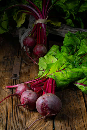 Botwina, Rustic Young Beetrootの写真素材