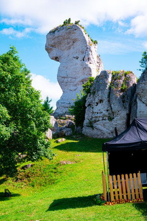 old castle ruins of ogrodzieniecの写真素材