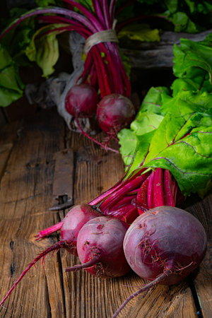 Botwina, Rustic Young Beetrootの写真素材