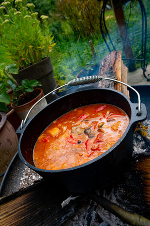 Kettle goulash is prepared over an open fire!の写真素材