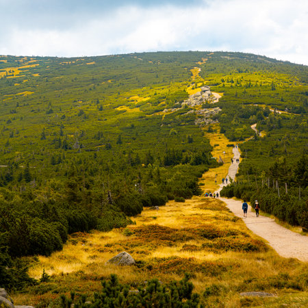 Hiking trail in the Carpathian mountains in Ukraine, Europeの写真素材