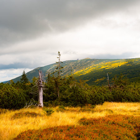 Giant Mountains (Karkonosze) autumn landscapeの写真素材
