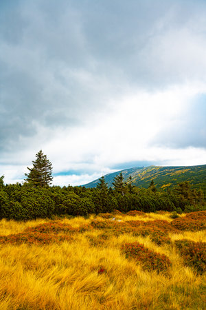 Giant Mountains (Karkonosze) autumn landscapeの写真素材