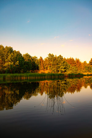 Quiet evening at the lakeの写真素材