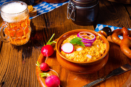 rustic Bavarian obazda with radishes and onionsの写真素材