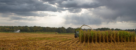 Autumn corn harvest in Lower Saxonyの写真素材