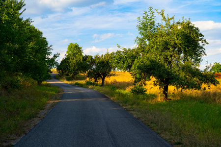 Neckar cycle paths in Baden-WÃ¼rttembergの写真素材