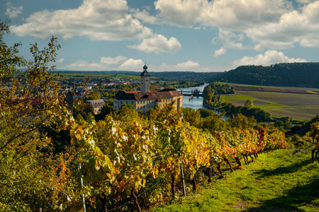 Wine experience in the lower Neckar valleyの写真素材