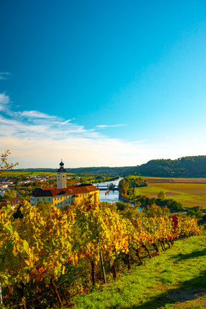 Wine experience in the lower Neckar valleyの写真素材