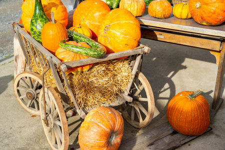 Boost Fall Sales with Pumpkin Merchandisingの写真素材