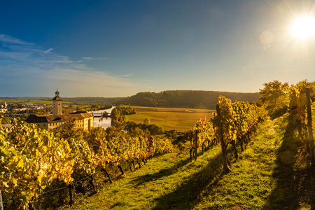 Wine experience in the lower Neckar valleyの写真素材
