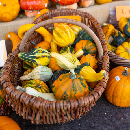 Boost Fall Sales with Pumpkin Merchandisingの写真素材