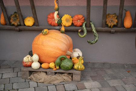 Boost Fall Sales with Pumpkin Merchandisingの写真素材