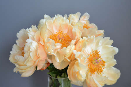 Bouquet of five yellow peonies with stems and green leaves in close upの写真素材