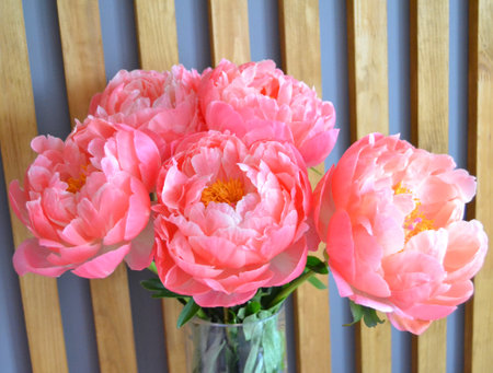Abundance of Fresh bunch of Peonies Bouquet of different pink colors on different background. Card Concept, copy space for textの写真素材