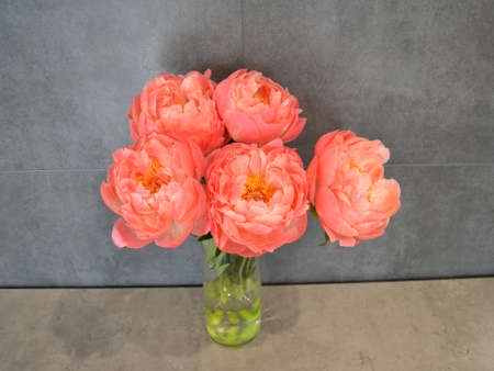 Abundance of Fresh bunch of Peonies Bouquet of different pink colors on different background. Card Concept, copy space for textの写真素材