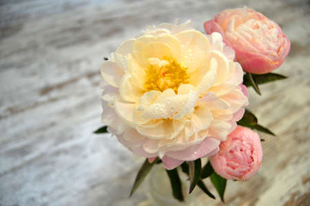 Bouquet of pink peony in vase, toned image.Fresh bunch of pink peonies on light background. fresh bright blooming peonies flowers. Card Concept, copy spaceの写真素材