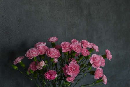 Pink floral carnation wallpaper designの写真素材