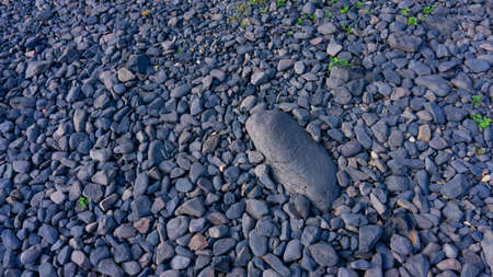Stone Texture on the Beach in Hiroshima Prefecture
